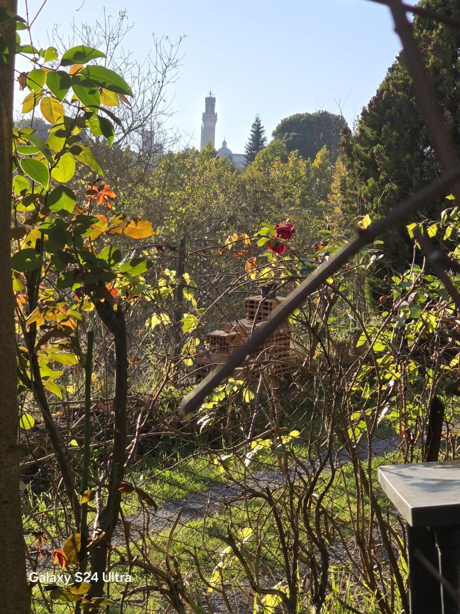 Podere Ponticini Сиена Экстерьер фото