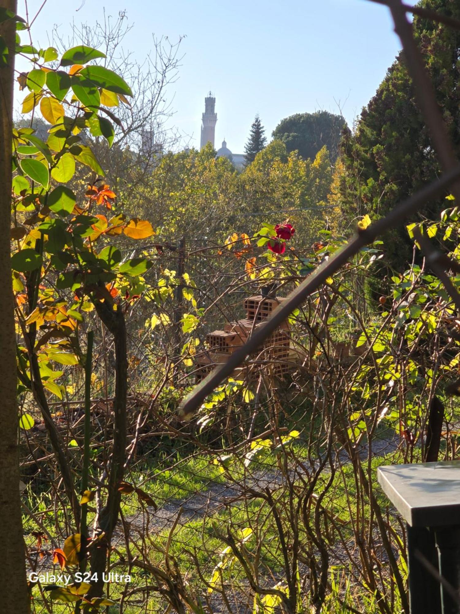 Podere Ponticini Сиена Экстерьер фото